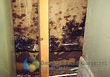 Décontamination Qc